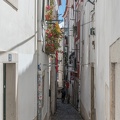 DSC 0709