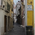 DSC 0710