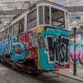 DSC 9941