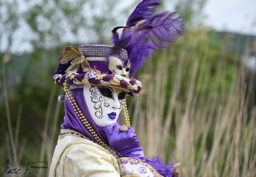 DSC 4636