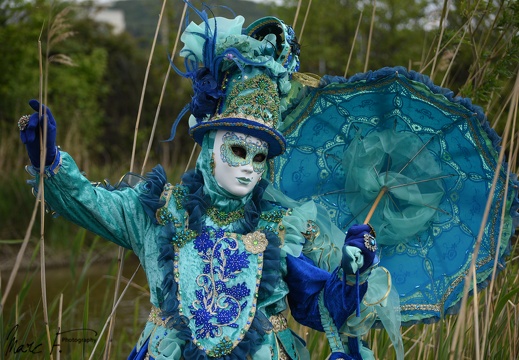 DSC 4729