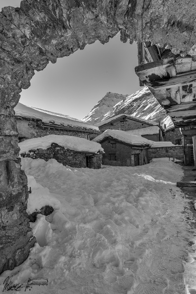 DSC_2981.jpg