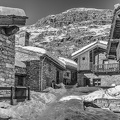 DSC 2988