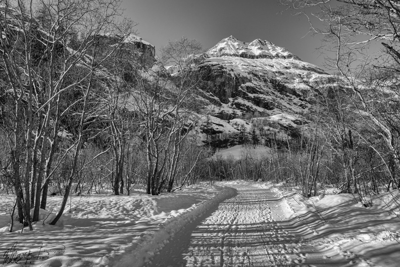 DSC_3034.jpg