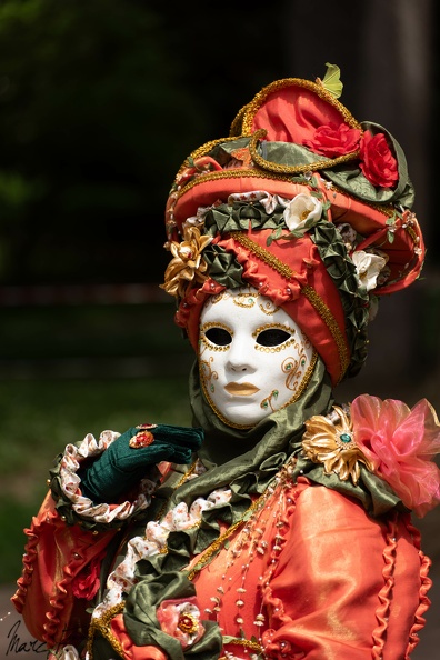 DSC_5075.jpg