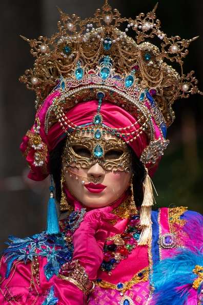 DSC_5108.jpg